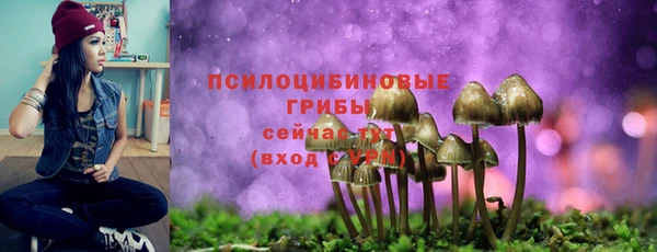 мяу мяу мука Алзамай