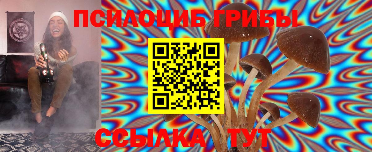 цена   Галлюциногенные грибы Cubensis  Вход с VPN  Морозовск  Галлюциногенные грибы Psilocybine cubensis 